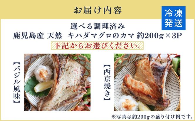 鹿児島産　天然　キハダマグロのカマ約200ｇ×3　調理済　バジル風味or西京焼き　K100-012
