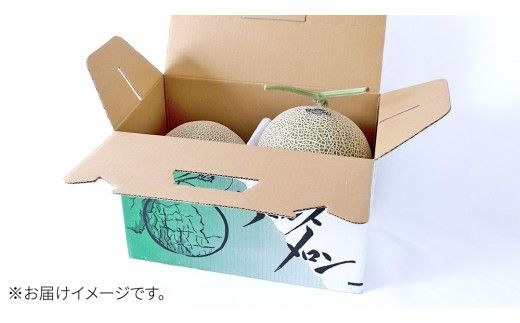 完熟 アールスメロン 2玉 2026年産 先行予約 メロン マスクメロン 青肉 果物 フルーツ 茨城県産 期間限定 数量限定 [AF003ci]
