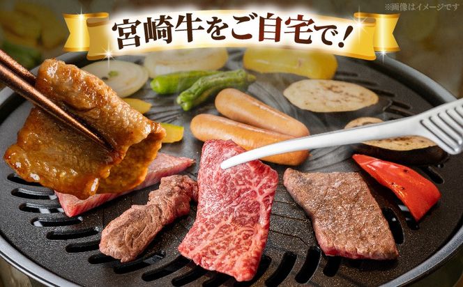 宮崎牛赤身（ウデ・モモ）焼肉 500g