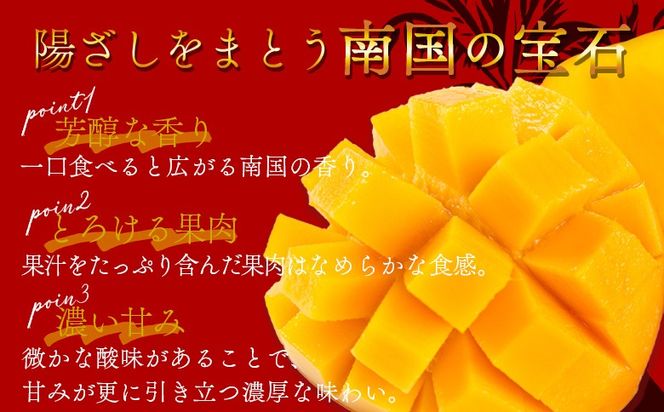 ＜宮崎県産 完熟マンゴー 2L 合計2玉＞入金確認後、2025年7月初旬迄に順次出荷【選べる 大きさ サイズ 国産 かんじゅく とろける 果物 果実 フルーツ 南国 芳醇 甘い 旬 濃厚 贈り物 プレゼント（株）ワールドワイドトレード 宮崎県 国富町】【b0954_ww】