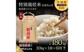 【通年受付】≪令和8年産≫【定期便／1ヶ月おき全6回】農家直送！魚沼産コシヒカリ特別栽培「白羽毛の米」玄米(30kg×1袋)×6回 計180kg お米 白米