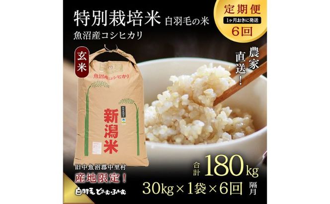 【通年受付】≪令和8年産≫【定期便／1ヶ月おき全6回】農家直送！魚沼産コシヒカリ特別栽培「白羽毛の米」玄米(30kg×1袋)×6回 計180kg お米 白米