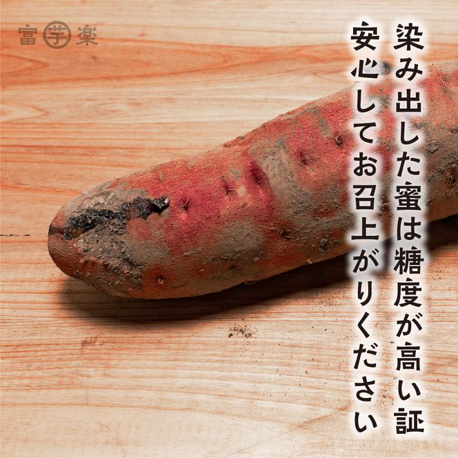 【先行予約】 12月以降発送 干し芋屋のさつまいも 熟成 紅はるか 生芋 10kg 無添加 無着色 茨城県産 サツマイモ 土付き 芋 さつまいも さつま芋 薩摩芋 紅遥 べにはるか