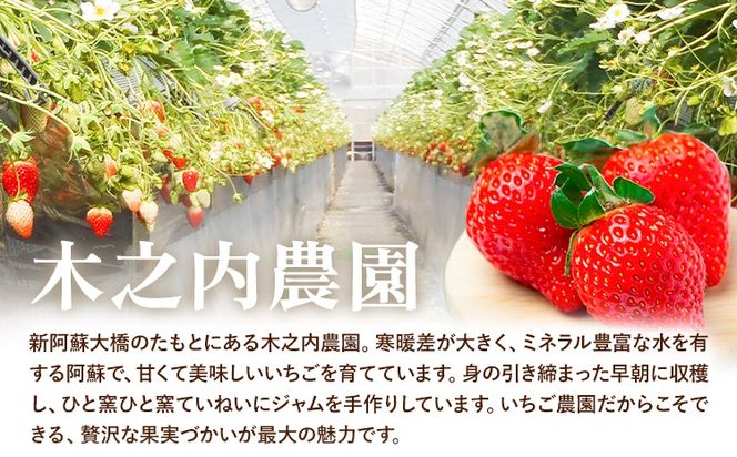 いちご ジャム 果実 ぎっしり！木之内農園の手作りいちごジャム 450g (150g×3本）　《30日以内に出荷予定(土日祝を除く)》 熊本県 南阿蘇村 イチゴ 苺 大粒---isms_kinonsb_30d_24_8000_450g---