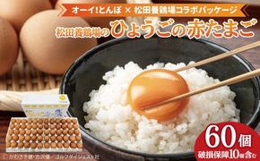 【オーイ！とんぼ×松田養鶏場コラボパッケージ】産地直送  松田養鶏場のひょうごの赤たまご60個（50個+割れ補償10個）