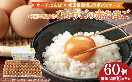 【オーイ！とんぼ×松田養鶏場コラボパッケージ】産地直送  松田養鶏場のひょうごの赤たまご60個（50個+割れ補償10個）