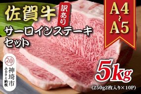 訳あり！【A4～A5】佐賀牛サーロインステーキセット 5kg(250g 2枚入り×10P)【肉 牛肉 ブランド牛 黒毛和牛 ふるさと納税】(H112130)