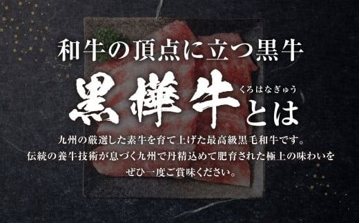 黒樺牛 焼肉用カルビ 250g×1パック お肉 肉 牛肉 ブランド黒毛和牛 和牛 黒毛和牛 ブランド牛 焼き肉 焼肉 BBQ バーベキュー カルビ 冷凍 国産 九州産 冷凍