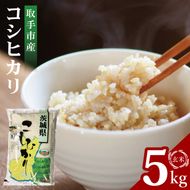 【数量限定】R7年産取手市産コシヒカリ 玄米5kg|お米 米 こしひかり コシヒカリ 玄米 茨城県 取手市（BS003）