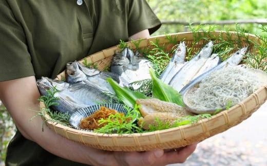 季節のおすすめ干物セットA 三重県紀宝町産 ※季節によって内容が異なります / ひもの 干物 みりん干し 開き 丸干し 詰め合わせ イカ さんま カマス しらす いわし 【ems002】