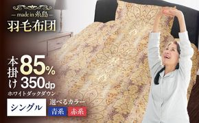 【訳あり】【 糸島 羽毛 ふとん 】羽毛 布団 柄おまかせ ダウン85％【 シングル 】糸島市 / 株式会社三樹  [AYM004] 羽毛 布団 ふとん 掛け布団 掛けふとん シングル 訳あり おまかせ 羽毛布団