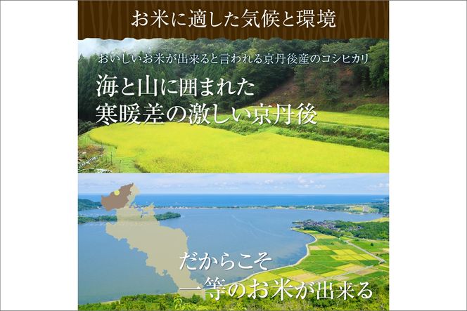 【定期便3回】令和7年産  美白精米 丹後こしひかり 3kg×3ヵ月 1等米　MU00069