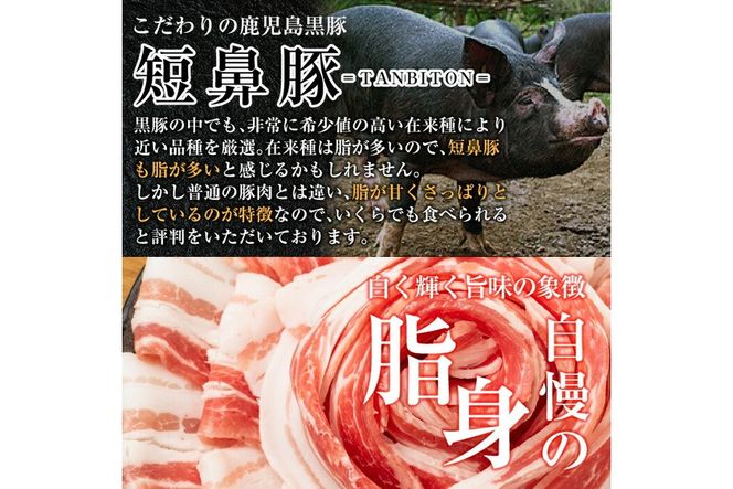 a687 《訳あり》鹿児島黒豚「短鼻豚」ローススライス小分けセット1kg(250g×4パック)【鹿児島ますや】姶良市 国産 鹿児島県 肉 豚 豚肉 黒豚 ロース スライス 小分け パック