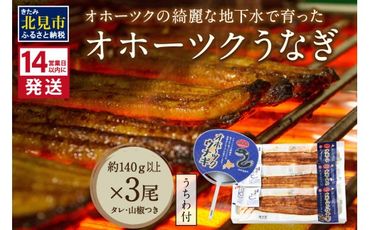 《14営業日以内に発送》オホーツクの綺麗な地下水で育った オホーツク うなぎ 3尾 ( 蒲焼 蒲焼き 丑の日 土用丑の日 )【160-0004】