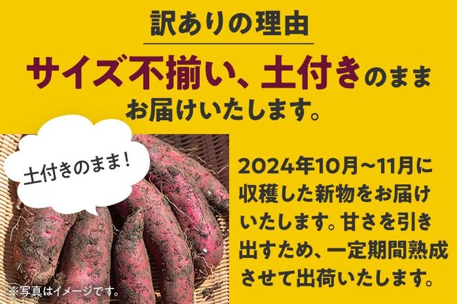 訳あり 熟成 紅はるか 5kg さつまいも 芋 サツマイモ 土付き サイズ色々 サイズ不揃い 九州産 焼き芋 やきいも 甘い デザート スイートポテト 生芋 おやつ デザート 野菜 いも【2024年12月以降順次発送】