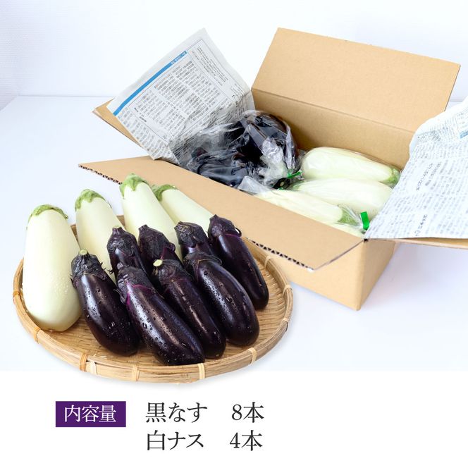 【先行予約】食べ比べ！白と黒のナスセット 黒ナス8本 白ナス4本 なす 茄子 黒なす 白なす 焼き茄子 煮浸し 漬物 浅漬け 味噌汁 おかず 野菜 常温 配送 国産