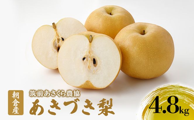 梨 朝倉産 あきづき梨 4.8kg（10～16玉入） ナシ フルーツ 果物 くだもの 筑前あさくら農協 ※配送不可：北海道、沖縄、離島