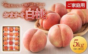FYN6-593 ≪2026年先行予約≫ご家庭用 山形県産 おまかせ 白桃 約5kg(12～20玉) 2026年8月上旬から順次発送 夏果実 果実 果物 くだもの フルーツ 桃 もも ピーチ 家庭用 自宅用 訳あり 農業者 農家 支援品 産地直送 山形県 西川町 月山