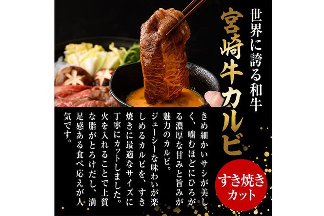 宮崎牛 カルビカット すき焼き (計1kg・500g×2) すき焼き お肉 牛肉 黒毛和牛 宮崎牛 ブランド和牛 冷凍 国産 宮崎県産 カルビ バラ 【YM-36】【YAMATO株式会社】
