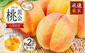 朝もぎ直送「黄金桃」5～8玉 約2kg規格箱入り【高機能共選機使用】選び抜かれた桃《もも 先行予約》 2026年 夏 発送 山梨県産 モモ/ フルーツ 果物 くだもの 人気 産地直送/厳選  贈答 贈り物【tab0098】