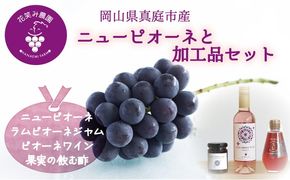 【2026年先行予約】花笑み農園　岡山の『ピオーネ&ラムピオーネジャム&ピオーネワイン&飲む酢』 【hana074-02】