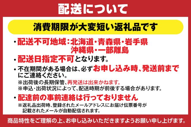 【先行予約】《期間限定》イチゴの最高級品種 ペチカほのか 300g（12～24粒）2パック 【令和8年7月以降発送予定】 香美苺 いちご イチゴ 人気 おすすめ 兵庫県 香美町 村岡 ユースランド 18-06