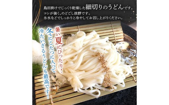 細切りざるうどん 10把入り（めんつゆ10個付） 乾麺 麺 麺類 新潟 