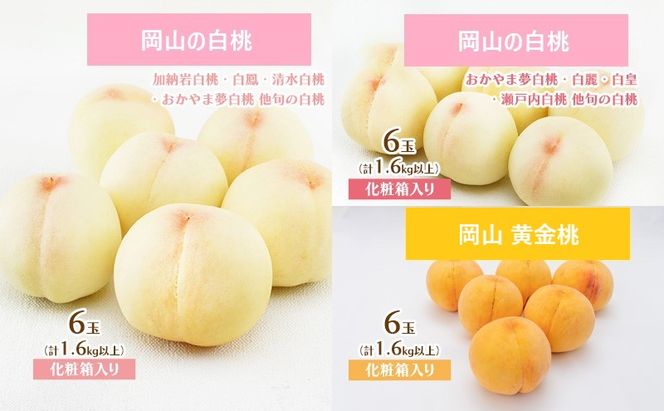 フルーツ 定期便 2026年 先行予約 岡山 の 桃 食べ比べ 定期便 3回コース もも モモ 岡山県産 国産 フルーツ 果物 セット ギフト 