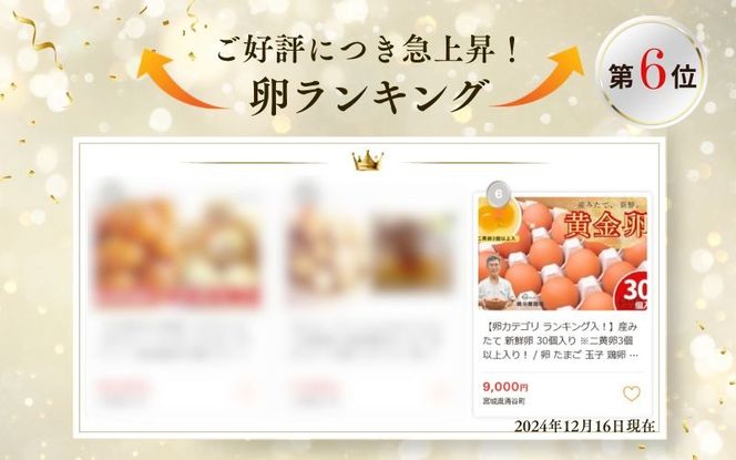 卵 【ランキング急上昇！】 産みたて 新鮮卵 30個入り ※二黄卵3個以上入り！ / 卵 たまご 玉子 鶏卵 新鮮 濃厚 生卵 健康 産地直送 【aubless003】