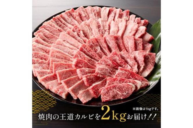 y򕌌szˋJr2kgi500g×4jy0016-056z