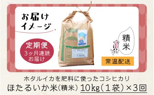 ほたるいか米（精米10kg）×3回 計30kg【3ヶ月定期便】