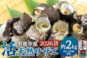 《2026年7月中旬～8月下旬発送》男鹿産天然さざえ 約2kg (約20個～25個) サザエ 栄螺|23_wtr-010201