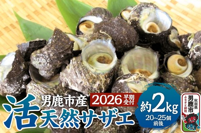 《2026年7月中旬～8月下旬発送》男鹿産天然さざえ 約2kg (約20個～25個) サザエ 栄螺|23_wtr-010201