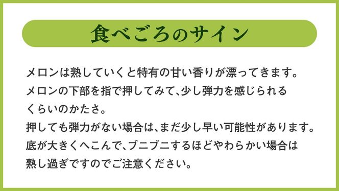 プリンスメロン ( 7～8玉 入り) 1箱 約 5kg フルーツ 果物 くだもの お取り寄せ 茨城県産 産直 直送 【 先行予約 5月下旬 以降発送 】【 令和7年産 】【 農家直送 】【 昭和の大衆メロン 】 [AX020ya]
