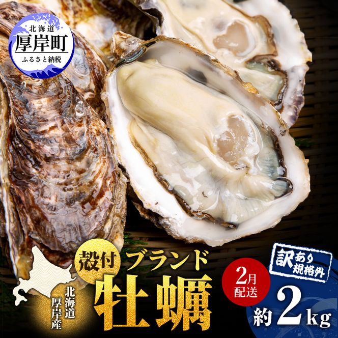 2月配送 訳あり ハーフ 規格外 牡蠣 北海道厚岸産 殻付カキ 約2kg（11～25個）カキナイフ付 生食 魚貝類 生牡蠣 かき 生カキ カキフライ マルえもん いびつな形 四季によって違う味わい コクがあり濃厚