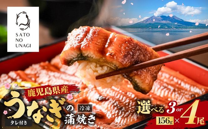 ＜選べる3or4尾＞鹿児島県産うなぎ蒲焼（1尾156g以上）　K379-002_SKU