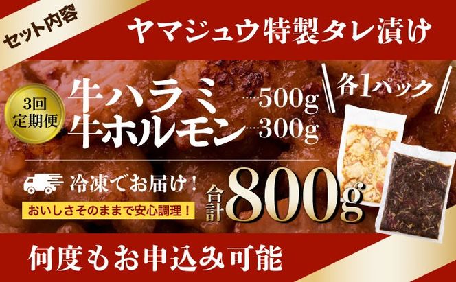 焼肉 ヤマジュウの特選タレ漬け！牛ハラミ肉＆国産牛ホルモン計８００ｇ【３回定期便】_yj086