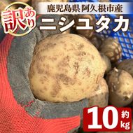 ＜先行予約受付中！2026年6月以降順次発送予定＞訳あり！じゃがいも ニシユタカ(10kg) 国産 鹿児島県産 阿久根市産 じゃがいも ジャガイモ 芋 ポテト にしゆたか 訳アリ 野菜 ポテトサラダ コロッケ 常温 常温配送 【慶越農園】akn107-07