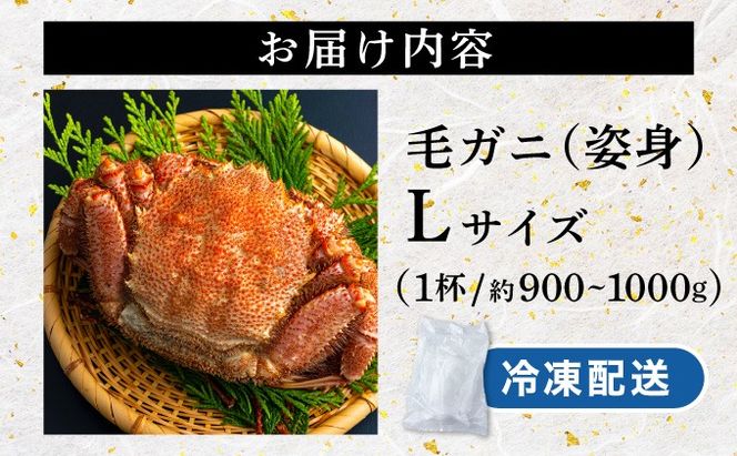 毛ガニ（姿身）Lサイズ 1尾 ogm-017