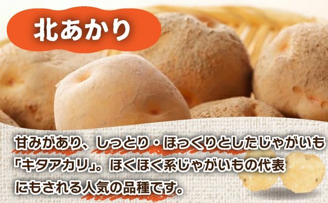 ＜先行予約＞北海道産 じゃがいも(北あかり) 約10kg【hjf-006】ジャガイモ 馬鈴薯 ポテト 芋 イモ きたあかり キタアカリ 野菜 人気 ふじいファーム