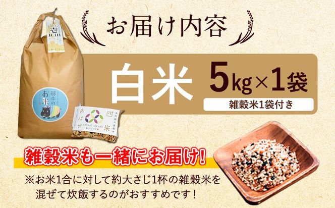 新米 令和6年産 特別栽培米 いのちの壱(白米)5kg×1 雑穀米付き《30日以内に出荷予定(土日祝除く)》 熊本県 南阿蘇村 熊本県産 虹色のかば 白米 雑穀米---sms_inci6_30d_24_14500_h5kg---