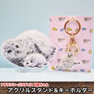 10-503 日和のアクリルスタンド・キーホルダー【アザラシシーパラダイスグッズ】
