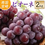 【令和8年発送 先行予約】小林市産 ピオーネ 2kg（ぶどう ブドウ ピオーネ フルーツ 果物 くだもの 先行受付 限定）【令和8年発送 先行予約】小林市産 ピオーネ 2kg（ぶどう ブドウ ピオーネ フルーツ 果物 くだもの 先行受付 限定）