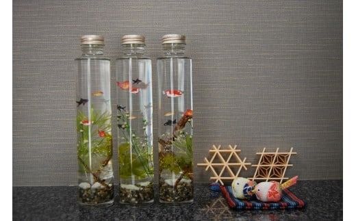 ハーバリウム 金魚ボトル 3本セット