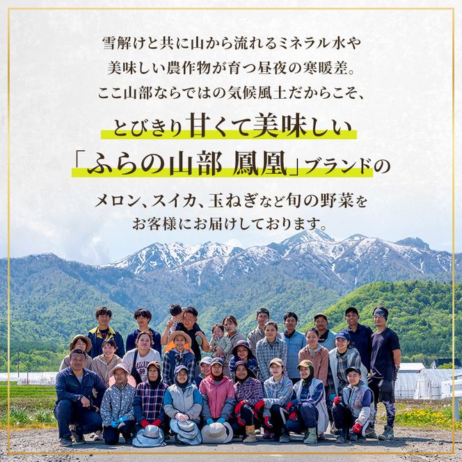 【2026年夏発送】富良野メロン 山部の絶品『鳳凰』3L 2玉 計4kg以上 メロン 赤肉 大玉 北海道