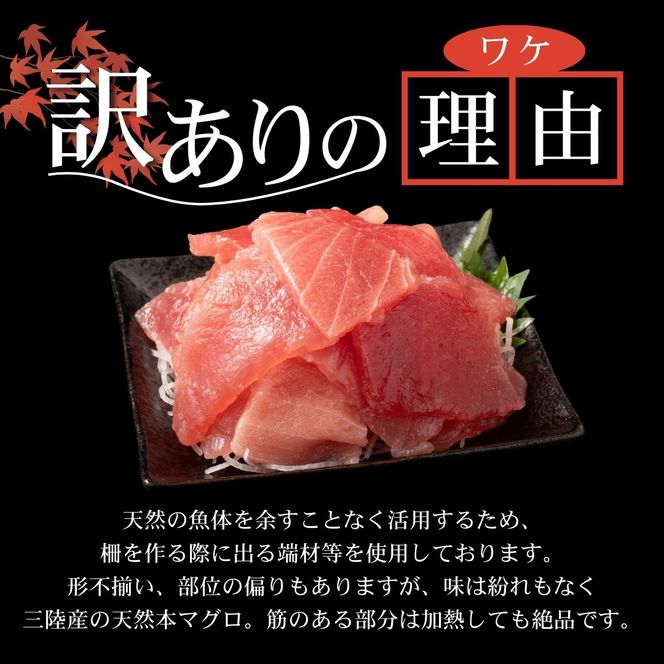 【スピード発送】 数量限定 天然本まぐろ 切り落とし 500g(100g×5) 訳あり まぐろ 刺身 さしみ 刺し身 鮮魚 まぐろ赤身 鮪 魚介 魚 マグロ 漬け ユッケ 海鮮丼 国産 天然まぐろ 高級 天然 人気 寿司 本鮪 お正月 年末 冷凍 三陸 大船渡 岩手 冊 ギフト ごちそう