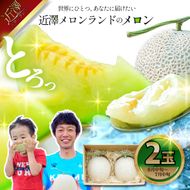 先行予約 メロン ２玉入り（1玉約1.4kg～1.8kg）青肉 2026年夏発送 期間限定