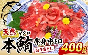 マグロ 中トロ  赤身 切落し【400g (100g×4パック)】天然 本マグロ 切り落とし 本まぐろ まぐろ マグロ 鮪 刺身 刺し身 魚 惣菜 海鮮丼 魚介類 食べきりサイズ 小分け 冷凍 訳あり 不揃い 10000円 送料無料 室戸 mgr tk024!