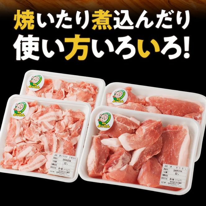 延岡よっとん Aセット N003-YB541