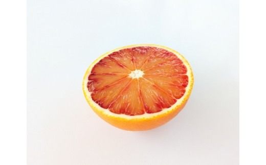 美浜町産ブラッドオレンジタロッコ　オーナー制度